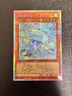 マルチャミー・プルリア　プリズマ　プリシク