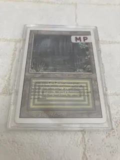 2026年最新】mtg bayouの人気アイテム - メルカリ