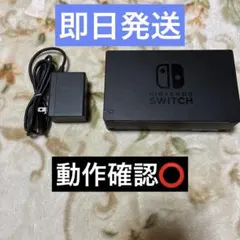 ✴︎迅速即日発送✴︎Nintendo Switch ドック ACアダプター 純正品