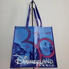 Disneyland Paris 30周年記念 エコバッグ (大)のサムネイル