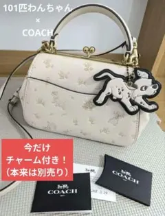 希少 COACH レキシー ロケット ディンキー チェーン ショルダーバッグ 