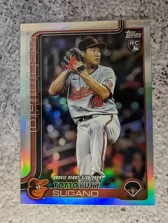 Item thumbnail for item 8e496d53-022b-466c-a1fa-bea5b1178d2b