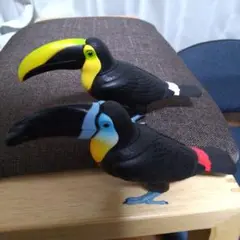 ガチャガチャ ネイチャーテクニカラー 大きなオオハシ 2種類