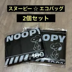 【新品未開封】SNOOPY エコバッグ 2個組 カーキ色 スヌーピー AOKI