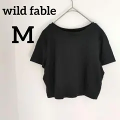 送料込❤wild fable 【M】ブラック クロップドTシャツ 丈短め 小さめ