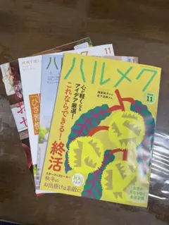 ハルメク 2026年11月号 雑誌