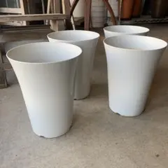 プラ鉢 6号 4個セット 中古 プラスチック 植木鉢 白 ホワイト used