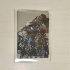ゼルダの伝説 カードキャンディ 英傑 集合 ブレスオブザワイルド