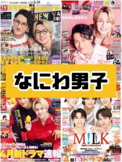 ザテレビジョン TVガイド TVfan TVnaviなにわ男子 雑誌 切り抜き.