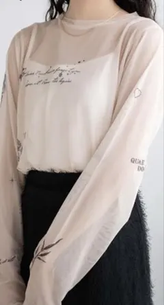 WEGO/プリントシアーロンT