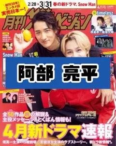 ザテレビジョン 4月号 阿部亮平 SnowMan 雑誌 切り抜き