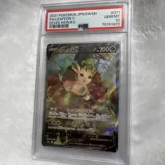 リーフィアV SR PSA10 リーフィアV SR PSA10 071/069 イーブイヒーローズ 【公式通販】