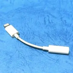 Item thumbnail for item 3e8b0e8e-1ee6-4310-9732-dd5d45b09e4e