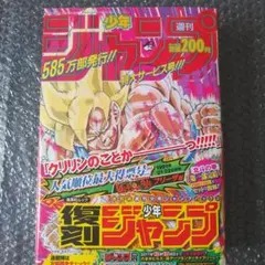 復刻 週刊少年ジャンプ パック3 21・22合併号 26号 ドラゴンボール