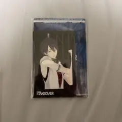 夢追翔 にじさんじ VACHSS TAKEOVER チェキ