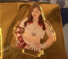 女子プロレス　マリーゴールド　ランダムアクリルスタンド　ジュリア　アクスタ 女子プロレス マリーゴールド ランダムアクリルスタンド