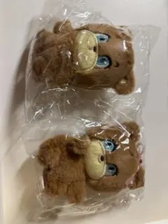 foxy illustration ガチャガチャ　ぬいぐるみ　BEAR