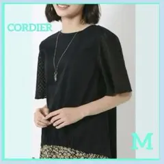✨コルディア新品✨シルケットスムース フレア袖　Tシャツ　お買い得　M 日本製のサムネイル