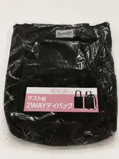 最安値‼️】櫻坂46 ローソンくじ ラスト賞 2WAY デイパック - メルカリ