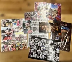 東京ディズニーリゾート コレクションホルダー　クリアファイルセット