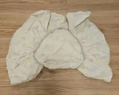 Item thumbnail for item 16f62a53-9e1b-4767-a1b6-1739496ba1be