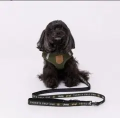 Item thumbnail for item 910f9836-4152-44e6-b366-574c277aaba3