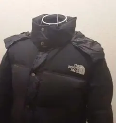 THE NORTH FACE 肉厚ダウンジャケット 黒