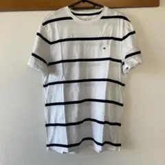 TOMMY HILFIGER ストライプ Tシャツ L/G