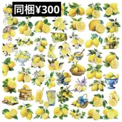 っｂ様 リクエスト 4点 まとめ商品