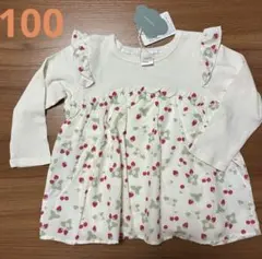 Item thumbnail for item 63faf23b-9420-44a1-9f4b-bb9761bd3b03