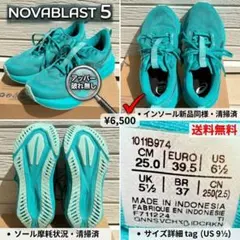 【良品】アシックス ノバブラスト5（NOVABLAST 5）25.0cm メンズ