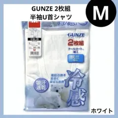 Item thumbnail for item 8e030b40-d7c8-4540-874b-931ffe3b66a5