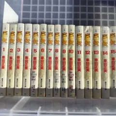 2025年最新】聖闘士星矢 全巻の人気アイテム - メルカリ