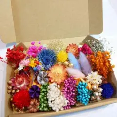 ✿花材詰め合わせ/ドライフラワー.プリザーブドフラワー /⑤