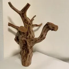 アクアリウム、インテリア用流木 オブジェ　天然流木とのセット