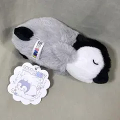 ビ*ル様 ペンギン 赤ちゃん　すやすやBaby ぬいぐるみ 名古屋港水族館のサムネイル