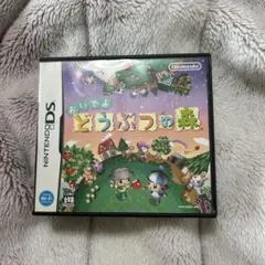 ニンテンドーDS 『おいでよ どうぶつの森』