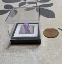 Item thumbnail for item 3df002b8-7409-45db-8138-92c568a182a5