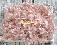 unana 様専用ページ