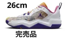 新品 NIKE ジョーダンワンテイク4PF バッシュ グレー 蛍光色25.5cm