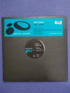 Hot Lizard – 165...Drop　ディープハウス/テクノ　2枚組