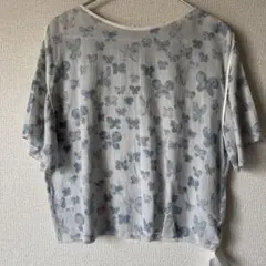 Item thumbnail for item 1fc75f7a-6dbb-43a3-adf5-627112caef19