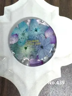 2026年最新】レジンブローチの人気アイテム - メルカリ