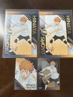 ハイキュー!! ユース・擬似ユース合宿 日向翔陽 まとめ売り