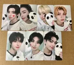 ENHYPEN 中華トレカ パンダ 7枚セット