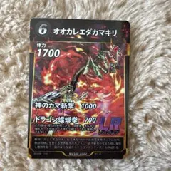 オオカレエダカマキリ