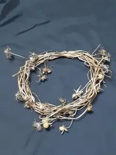 朝顔のつるリース