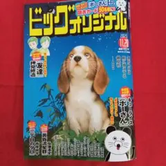 ビッグオリジナル 2025年11月20日号　小学館