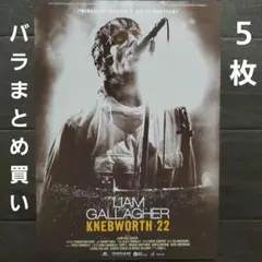 映画　リアム・ギャラガー：ネブワース22　バラまとめ買い　チラシフライヤー　５枚