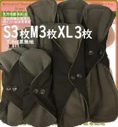 Item thumbnail for item 2c546fd9-f9df-4c7f-bd21-466e341f492a